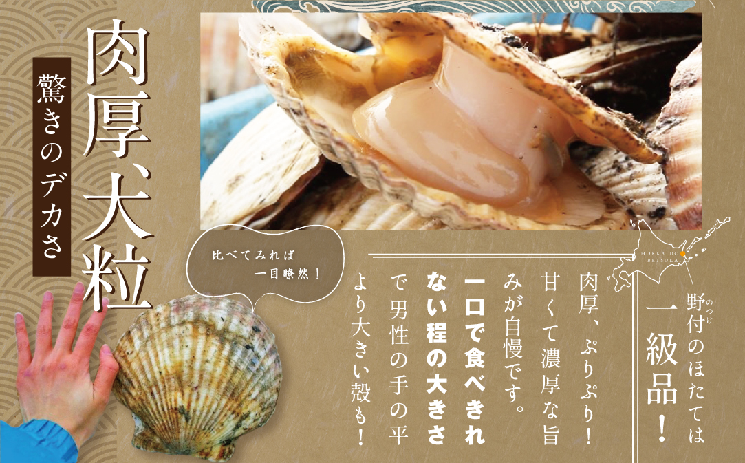 北海道 別海町 野付産 冷凍 ほたて 貝柱 500g（10〜13玉前後）Lサイズ【KO0000003】（ ほたて ホタテ ホタテ貝柱 帆立貝 帆立貝柱 北海道 別海町 ふるさと納税 ）