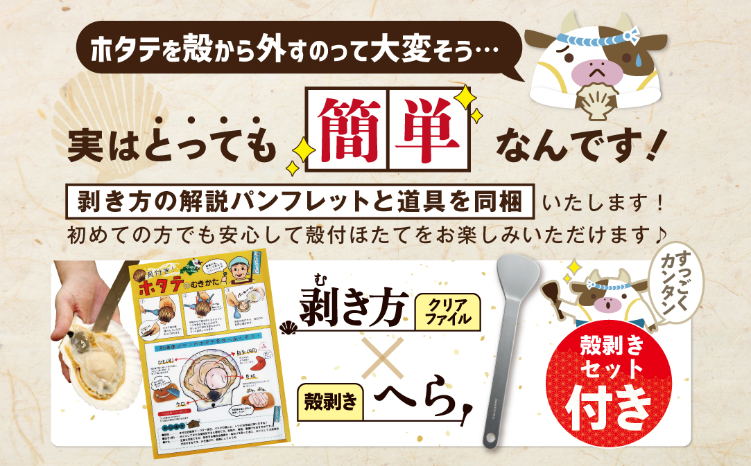 【先行予約】特大活ほたて ３kg相当 7〜14枚入り＜朝どり新鮮出荷!＞( ふるさと納税 ほたて 大玉 生食 活きほたて 生ホタテ 生帆立 生ホタテ貝柱 帆立貝柱 天然 冷蔵 刺身用 生 )