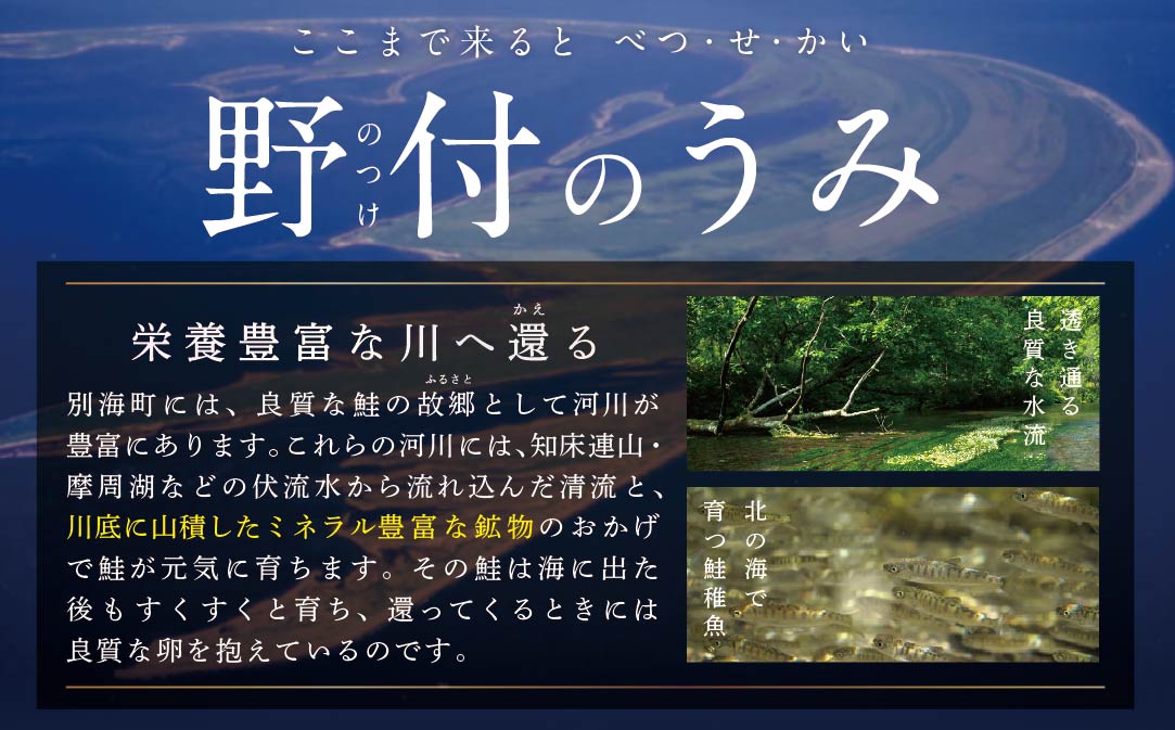 【禁輸に負けない！】【訳あり】「秋鮭の切り身（無塩）」1.4kg【BT000MD04】