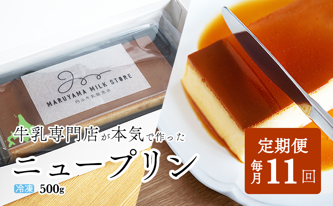 【定期便】濃厚プリン　New Pudding（ニュープディング）（500g×1本）×11ヶ月【be152-0931-100-11】