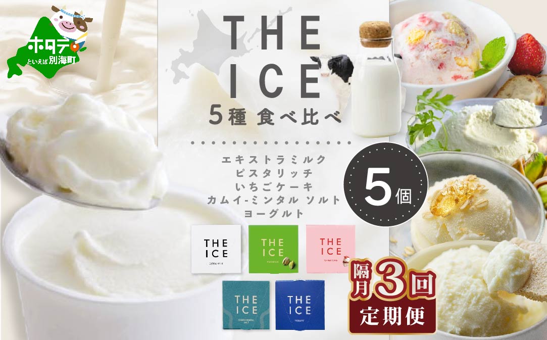 【隔月3回定期便】【THE ICE】5種食べ比べ 5個セット【CJB030206】