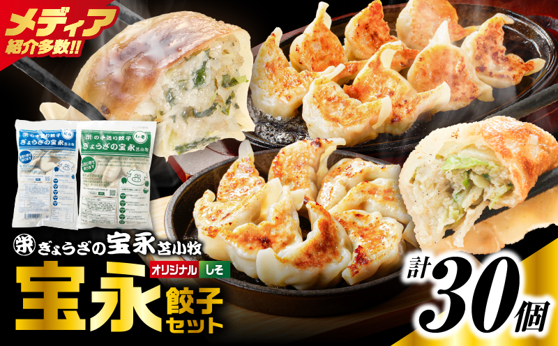 手包み餃子 ぎょうざの宝永 しそ餃子30個セット（宝永餃子15個入×1袋・しそ餃子15個入×1袋） 惣菜 総菜 ギョウザ しそ餃子 餃子 冷凍餃子 焼き餃子 水餃子 おかず おつまみ