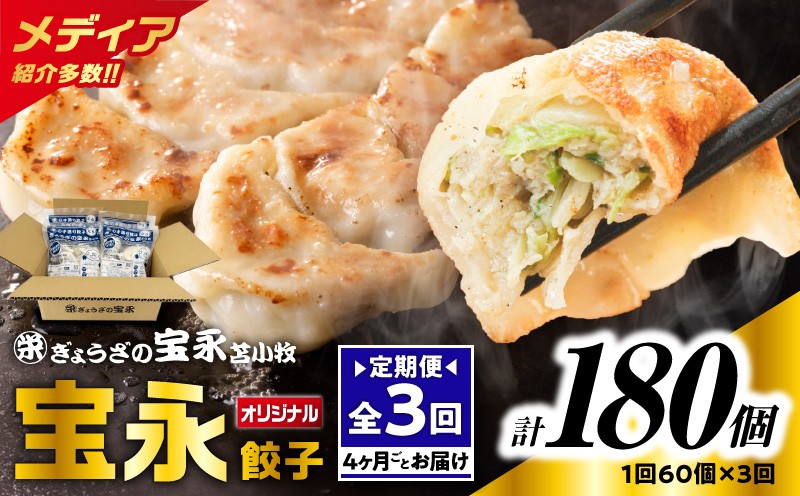 【全3回定期便（4ヶ月毎）】ぎょうざの宝永 宝永餃子 15個入セット（宝永餃子15個入×4袋）合計1.5kg 定期便 定期 惣菜 総菜 餃子 ぎょうざ ギョウザ 冷凍餃子 冷凍 ぎょうざの宝永