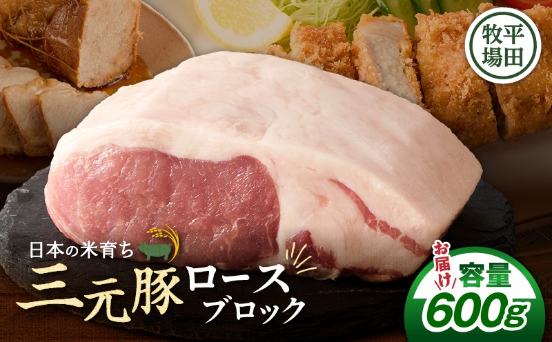 【平田牧場】三元豚ロースブロック 600g 肉 お肉 にく 豚 豚肉 ブタ ぶた 三元豚 ロースブロック 黒豚