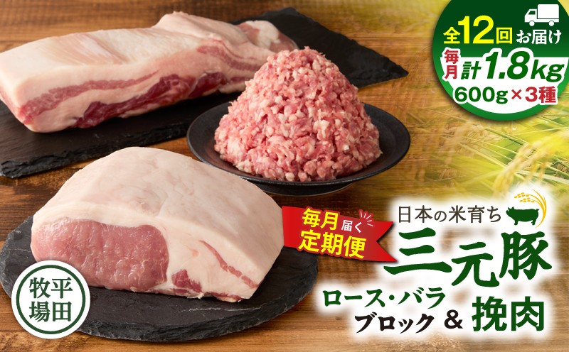 【全12回 毎月定期便】日本の米育ち平田牧場三元豚バラブロック 600g・豚ロースブロック 600g・豚挽肉 600g 定期便 定期 肉 お肉 にく 豚 豚肉 ブタ ぶた 三元豚