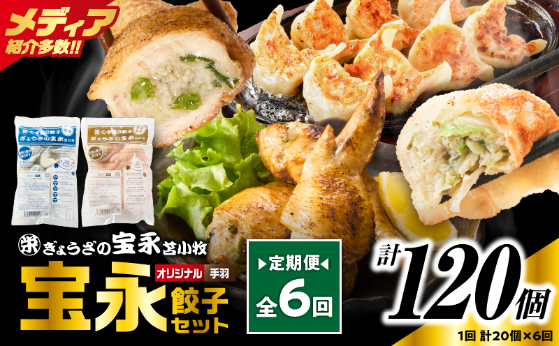 【定期便・全6回 毎月】手包み餃子 ぎょうざの宝永 手羽餃子20個セット（宝永餃子15個入×1袋・手羽餃子5個入×1袋） 定期便 定期 惣菜 総菜 餃子 ぎょうざ ギョウザ 手羽餃子 冷凍餃子 冷凍