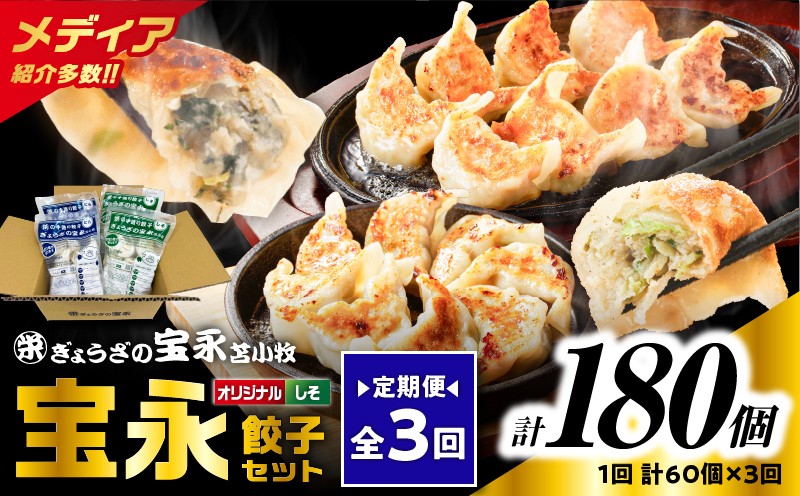 【全3回定期便（毎月）】ぎょうざの宝永 しそ餃子セット（宝永餃子 15個入×2袋＆しそ餃子 15個入×2袋）合計1.5kg 定期便 定期 惣菜 総菜 ギョウザ しそ餃子 餃子 冷凍餃子 焼き餃子 水餃子