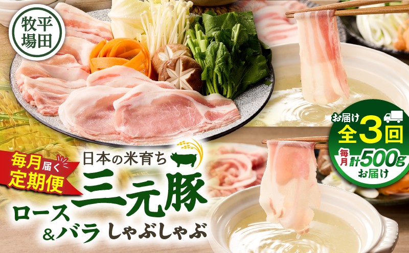 【全3回 毎月定期便】日本の米育ち平田牧場 三元豚ロース 250g・バラしゃぶしゃぶロース 250g 定期便 定期 肉 お肉 にく 豚 豚肉 ブタ ぶた 三元豚