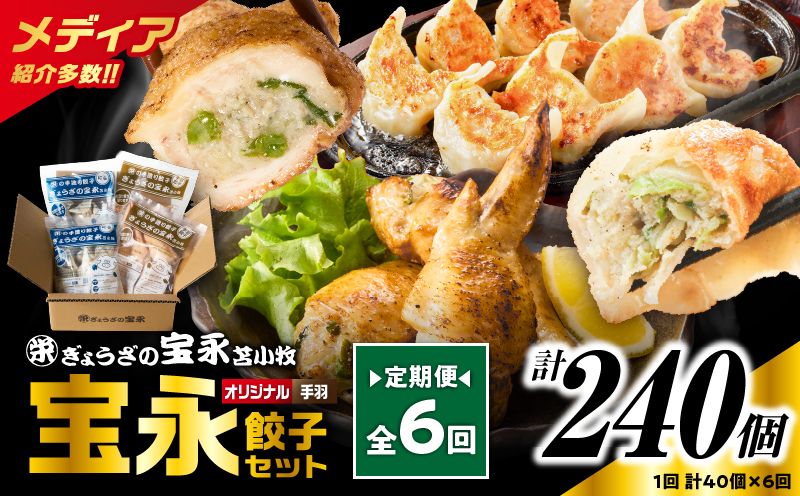 【定期便・全6回 毎月】手包み餃子 ぎょうざの宝永 手羽餃子40個セット（宝永餃子15個入×2袋・手羽餃子5個入×2袋） 定期便 定期 惣菜 総菜 餃子 ぎょうざ ギョウザ 手羽餃子 冷凍餃子 冷凍