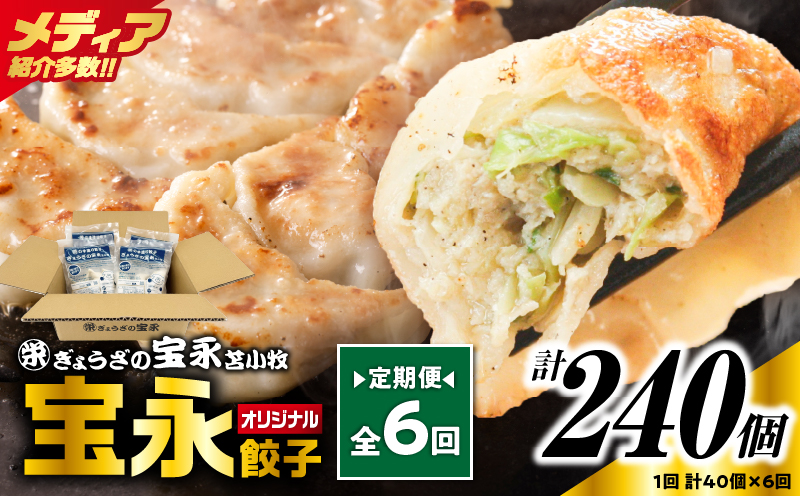 【定期便・全6回 毎月】手包み餃子 ぎょうざの宝永 宝永餃子40個セット（宝永餃子10個入×4袋） 定期便 定期 惣菜 総菜 ギョウザ 餃子 冷凍餃子 焼き餃子 水餃子 おかず
