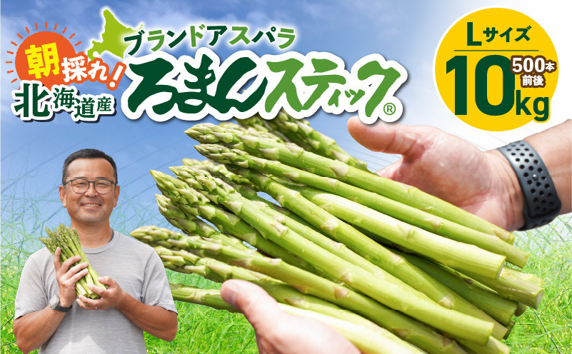 ロマンス農園 ろまんスティック Lサイズ 10kg アスパラガス 野菜 やさい Lサイズ 旨味 うま味 新鮮 やわらかい みずみずしい 糖度