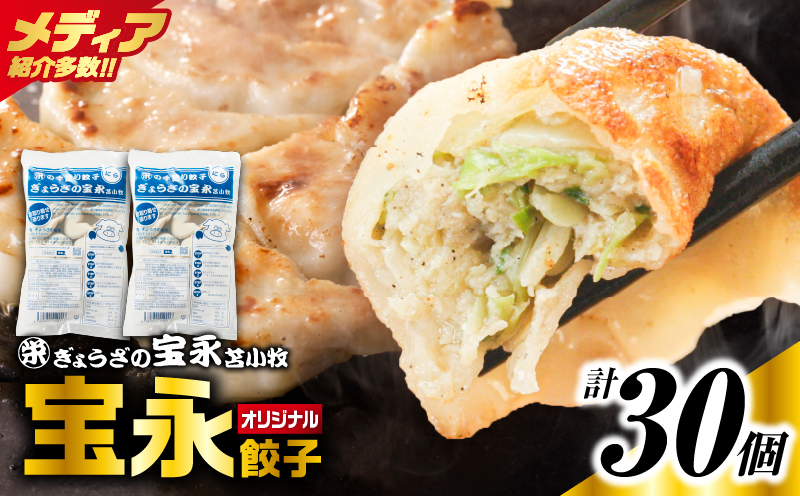 手包み餃子 ぎょうざの宝永 宝永餃子30個セット（宝永餃子15個入×2袋） 惣菜 総菜 餃子 ぎょうざ ギョウザ 冷凍餃子 冷凍 豚 ブタ 豚肉