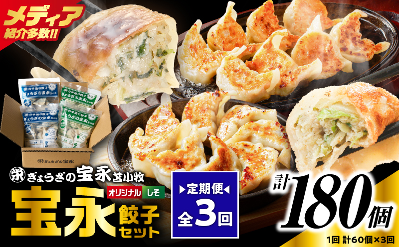 【定期便・全3回 毎月】手包み餃子 ぎょうざの宝永 しそ餃子60個セット（宝永餃子15個入×2袋・しそ餃子15個入×2袋） 定期便 定期 惣菜 総菜 ギョウザ しそ餃子 餃子 冷凍餃子 焼き餃子 水餃子