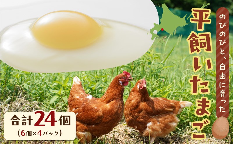 平飼いたまご 卵 たまご エッグ 平飼い卵 卵かけごはん HokkaidoGreenCompany ふるさと納税 北海道 苫小牧市 おすすめ