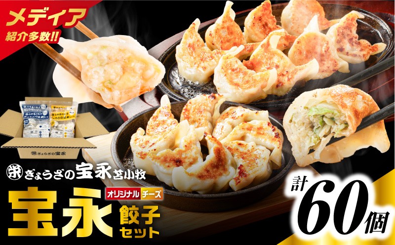 ぎょうざの宝永 チーズ餃子セット（宝永餃子 15個入×2袋＆チーズ餃子 15個入×2袋）合計1.5kg 惣菜 総菜 餃子 ぎょうざ ギョウザ 冷凍餃子 冷凍 豚 ブタ 豚肉