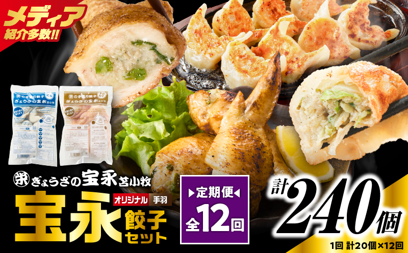 【定期便・全12回 毎月】手包み餃子 ぎょうざの宝永 手羽餃子20個セット（宝永餃子15個入×1袋・手羽餃子5個入×1袋） 定期便 定期 惣菜 総菜 餃子 ぎょうざ ギョウザ 手羽餃子 冷凍餃子 冷凍
