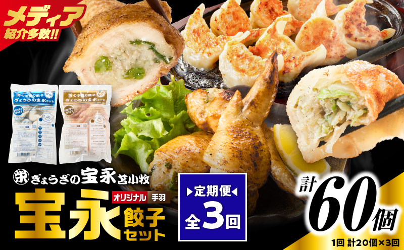 【定期便・全3回 毎月】手包み餃子 ぎょうざの宝永 手羽餃子20個セット（宝永餃子15個入×1袋・手羽餃子5個入×1袋） 定期便 定期 惣菜 総菜 餃子 ぎょうざ ギョウザ 手羽餃子 冷凍餃子 冷凍