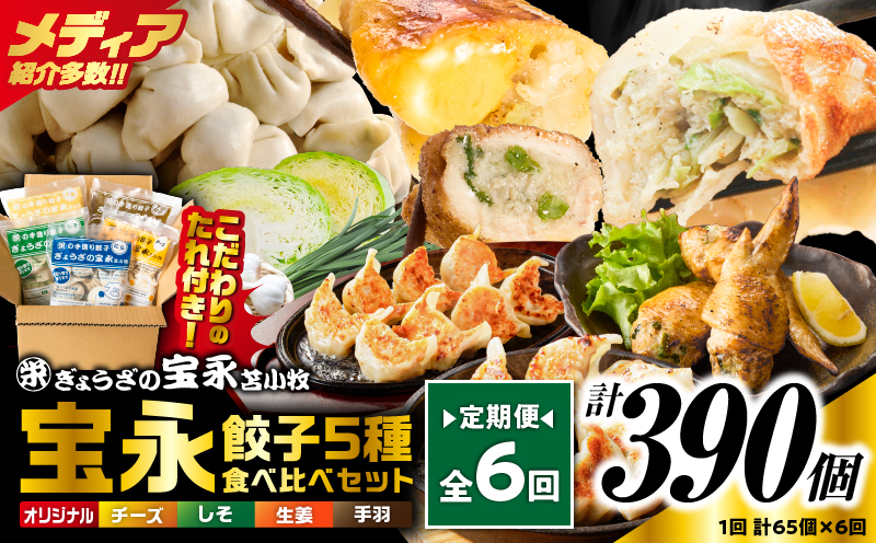 【定期便・全6回 毎月】手包み餃子 ぎょうざの宝永 5種食べ比べセット（65個入） 定期便 定期 惣菜 総菜 餃子 ぎょうざ ギョウザ 冷凍餃子 冷凍 豚