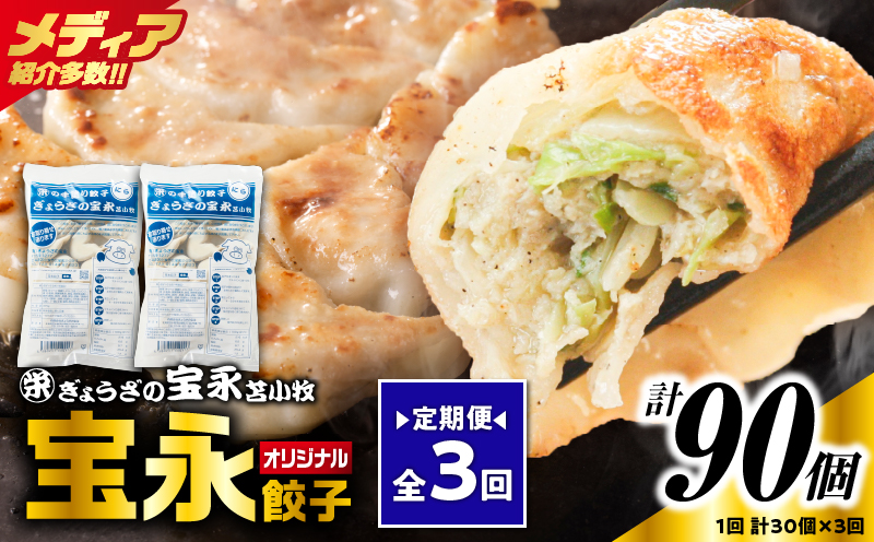 【定期便・全3回 毎月】手包み餃子 ぎょうざの宝永 宝永餃子30個セット（宝永餃子15個入×2袋） 定期便 定期 惣菜 総菜 餃子 ぎょうざ ギョウザ 冷凍餃子 冷凍