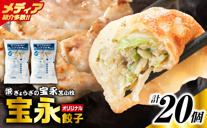 手包み餃子 ぎょうざの宝永 宝永餃子20個セット（宝永餃子10個入×2袋） 惣菜 総菜 ギョウザ 餃子 冷凍餃子 焼き餃子 水餃子 おかず おつまみ つまみ