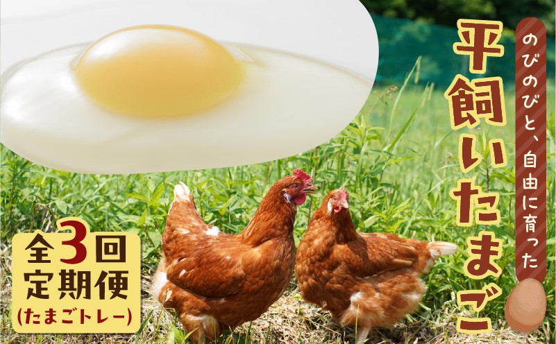 【全3回定期便】平飼いたまご（たまごトレー） 定期便 定期 卵 たまご 平飼い卵 卵かけごはん HokkaidoGreenCompany ふるさと納税 北海道 苫小牧市