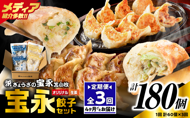 【定期便・全3回 4ヶ月毎】手包み餃子 ぎょうざの宝永 生姜餃子60個セット（宝永餃子15個入×2袋・生姜餃子15個入×2袋） 定期便 定期 惣菜 総菜 餃子 ぎょうざ ギョウザ 生姜餃子 冷凍餃子 冷凍