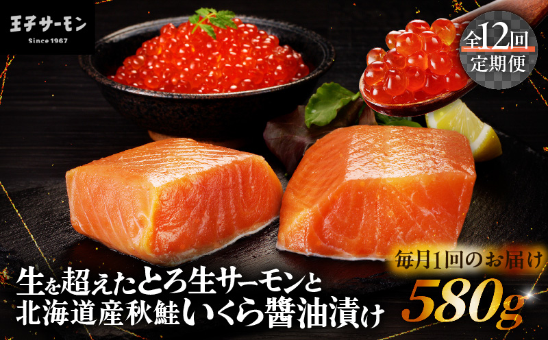【全12回定期便（毎月）】【王子サーモン】生を超えた「とろ生サーモン」と北海道産秋鮭 いくら醤油漬セット 計580g 魚 魚介