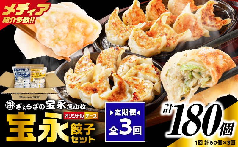【定期便・全3回 毎月】手包み餃子 ぎょうざの宝永 チーズ餃子60個セット（宝永餃子15個入×2袋・チーズ餃子15個入×2袋） 定期便 定期 惣菜 総菜 餃子 ぎょうざ ギョウザ 冷凍餃子 冷凍