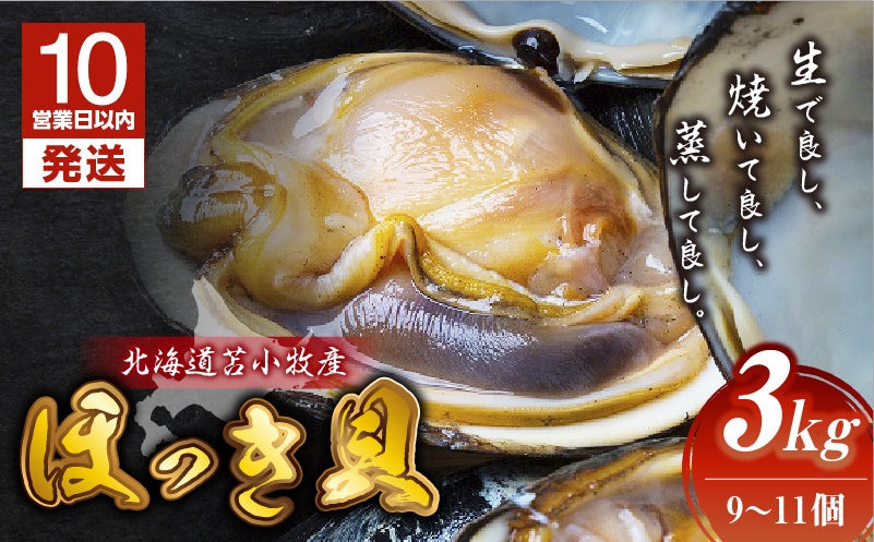 【10営業日以内に発送】北海道苫小牧産 ほっき貝 3kg（9～11個） 貝 貝類 魚介類 魚貝類 北寄貝 ホッキ貝 北寄 ホッキ お刺身 刺身