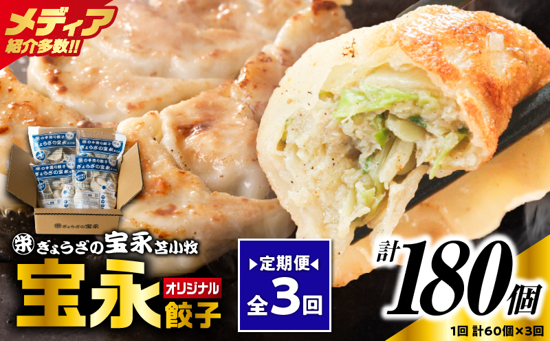 【定期便・全3回 毎月】手包み餃子 ぎょうざの宝永 宝永餃子60個セット（宝永餃子15個入×4袋）  定期便 定期 惣菜 総菜 餃子 ぎょうざ ギョウザ 冷凍餃子 冷凍