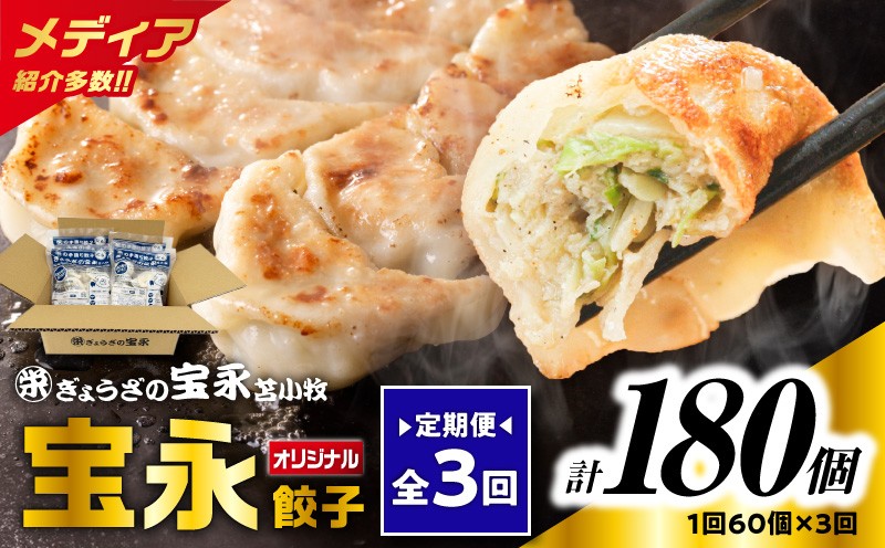 【全3回定期便（毎月）】ぎょうざの宝永 宝永餃子 15個入セット（宝永餃子15個入×4袋）合計1.5kg 定期便 定期 惣菜 総菜 餃子 ぎょうざ ギョウザ 冷凍餃子 冷凍 ぎょうざの宝永