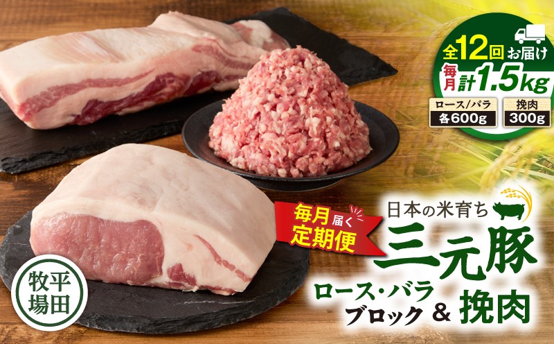 【全12回 毎月定期便】日本の米育ち平田牧場三元豚バラブロック 600g・豚ロースブロック 600g・豚挽肉 300g 定期便 定期 肉 お肉 にく 豚 豚肉 ブタ ぶた 三元豚