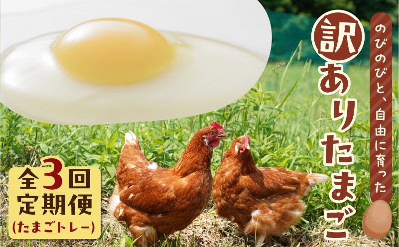 【全3回定期便】訳ありたまご　（たまごトレー） 定期便 定期 訳あり卵 訳あり 卵 卵かけごはん HokkaidoGreenCompany ふるさと納税 北海道 苫小牧市