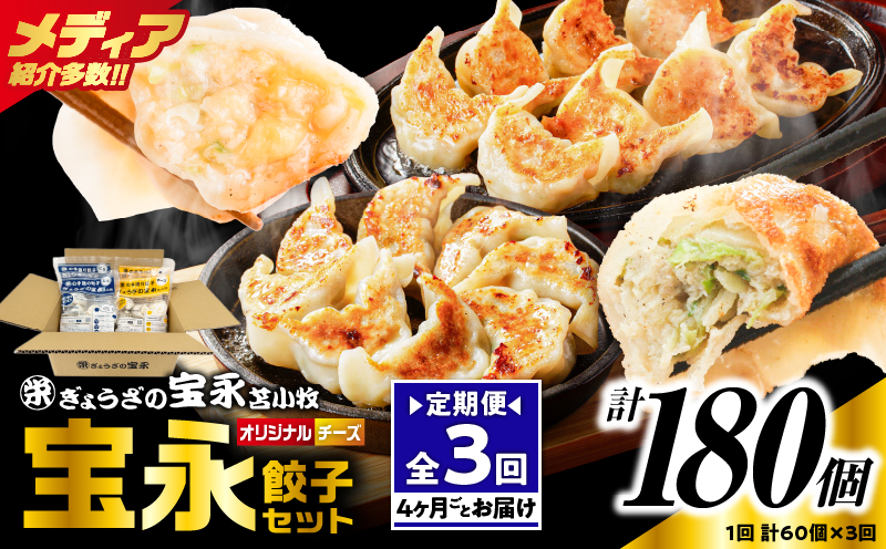 【定期便・全3回 4ヶ月毎】手包み餃子 ぎょうざの宝永 チーズ餃子60個セット（宝永餃子15個入×2袋・チーズ餃子15個入×2袋） 定期便 定期 惣菜 総菜 餃子 ぎょうざ ギョウザ 冷凍餃子 冷凍