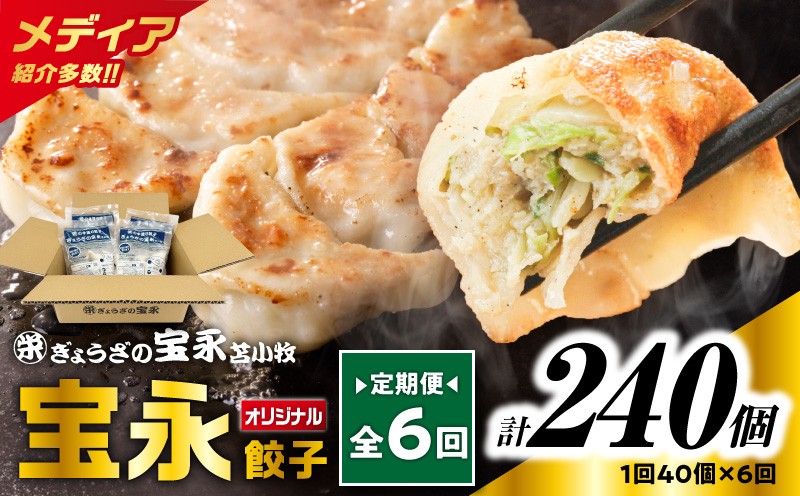 【全6回定期便（毎月）】宝永餃子10個入セット（宝永餃子10個入×4袋）合計1.0kg 定期便 定期 惣菜 総菜 ギョウザ 餃子 冷凍餃子 焼き餃子 水餃子 おかず