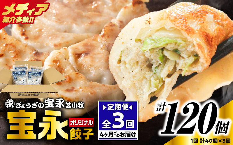 【定期便・全3回  4ヶ月毎】手包み餃子 ぎょうざの宝永 宝永餃子40個セット（宝永餃子10個入×4袋） 定期便 定期 惣菜 総菜 ギョウザ 餃子 冷凍餃子 焼き餃子 水餃子 おかず