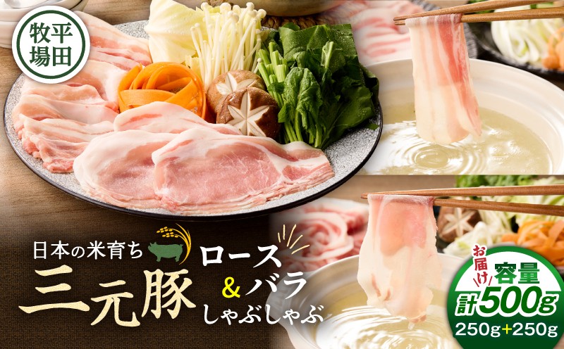 日本の米育ち平田牧場 三元豚ロース・バラしゃぶしゃぶ　各250g（計500g） 肉 お肉 にく 豚 豚肉 ブタ ぶた 三元豚 しゃぶしゃぶ 鍋
