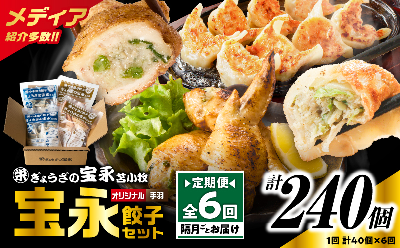 【定期便・全6回 隔月】手包み餃子 ぎょうざの宝永 手羽餃子40個セット（宝永餃子15個入×2袋・手羽餃子5個入×2袋） 定期便 定期 惣菜 総菜 餃子 ぎょうざ ギョウザ 手羽餃子 冷凍餃子 冷凍