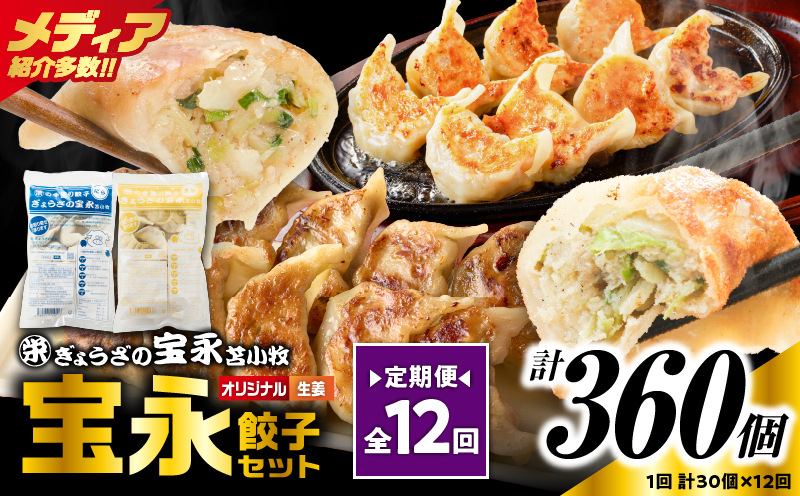 【定期便・全12回 毎月】手包み餃子 ぎょうざの宝永 生姜餃子30個セット（宝永餃子15個入×1袋・生姜餃子15個入×1袋） 定期便 定期 惣菜 総菜 餃子 ぎょうざ ギョウザ 生姜餃子 冷凍餃子 冷凍