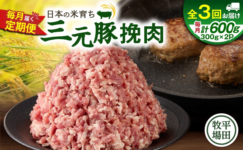 【全3回 毎月定期便】日本の米育ち平田牧場三元豚ひき肉 600g 定期便 定期 肉 お肉 にく 豚 豚肉 ブタ ぶた 三元豚
