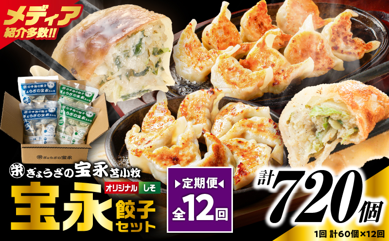 【定期便・全12回 毎月】手包み餃子 ぎょうざの宝永 しそ餃子60個セット（宝永餃子15個入×2袋・しそ餃子15個入×2袋） 定期便 定期 惣菜 総菜 ギョウザ しそ餃子 餃子 冷凍餃子 焼き餃子 水餃子