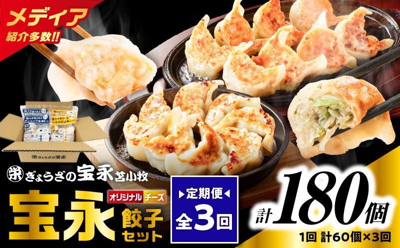 【全3回定期便（毎月）】チーズ餃子セット（宝永餃子 15個入×2袋＆チーズ餃子 15個入×2袋）合計1.5kg 定期便 定期 惣菜 総菜 餃子 ぎょうざ ギョウザ 冷凍餃子 冷凍 ぎょうざの宝永