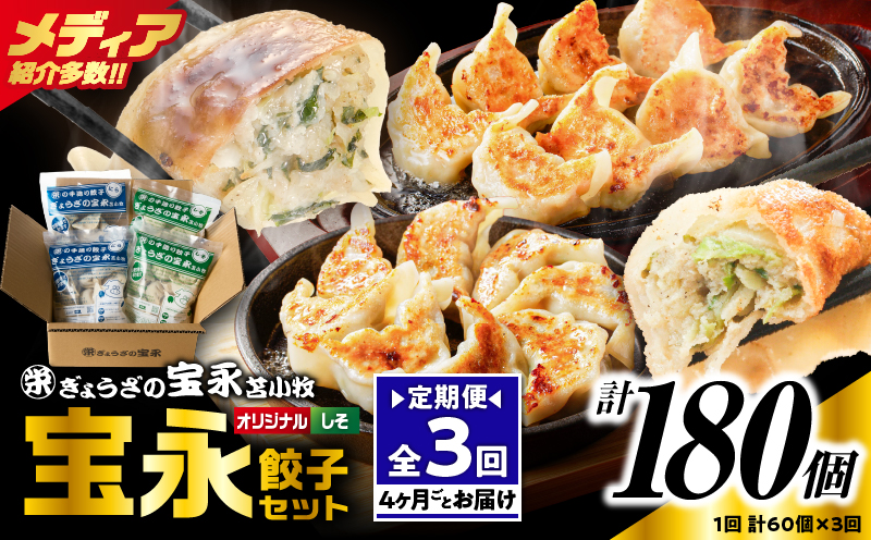 【定期便・全3回 4ヶ月毎】手包み餃子 ぎょうざの宝永 しそ餃子60個セット（宝永餃子15個入×2袋・しそ餃子15個入×2袋） 定期便 定期 惣菜 総菜 ギョウザ しそ餃子 餃子 冷凍餃子 焼き餃子 水餃子