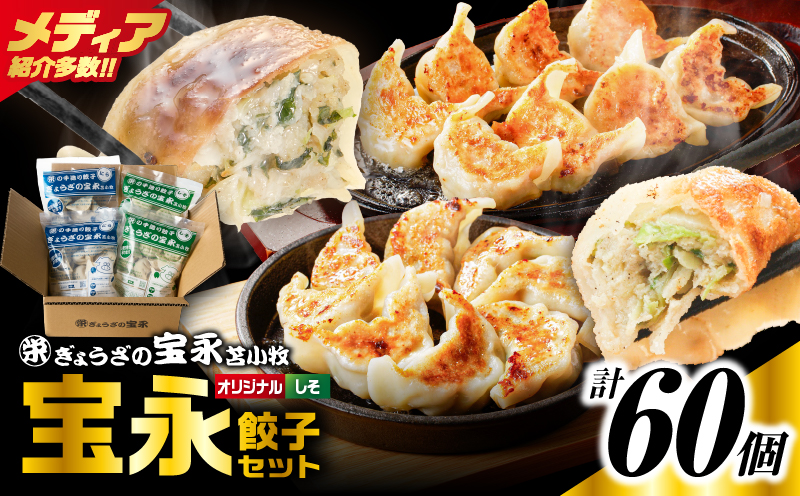 手包み餃子 ぎょうざの宝永 しそ餃子60個セット（宝永餃子15個入×2袋・しそ餃子15個入×2袋） 惣菜 総菜 ギョウザ しそ餃子 餃子 冷凍餃子 焼き餃子 水餃子 おかず おつまみ