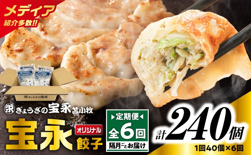 【全6回定期便（隔月）】宝永餃子10個入セット（宝永餃子10個入×4袋）合計1.0kg 定期便 定期 惣菜 総菜 ギョウザ 餃子 冷凍餃子 焼き餃子 水餃子 おかず