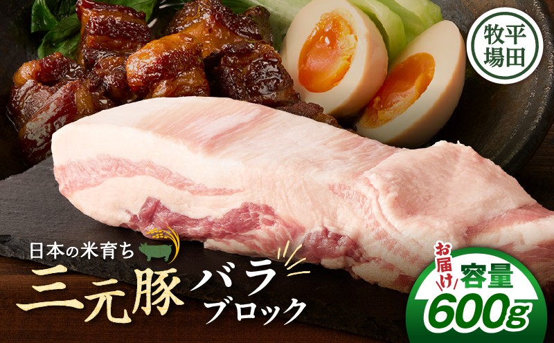 【平田牧場】三元豚バラブロック 600g 肉 お肉 にく 豚 豚肉 ブタ ぶた 三元豚 バラブロック バラ