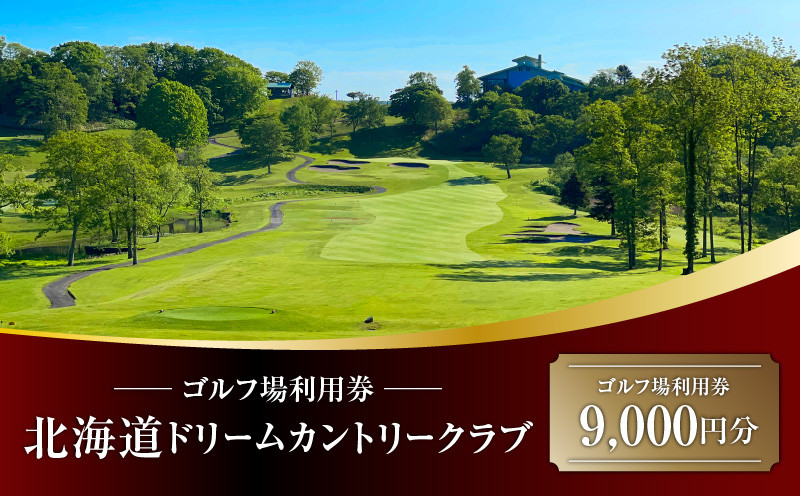 北海道ドリームカントリークラブ ゴルフ場利用券 9,000円分 ゴルフ 利用券 体験 チケット プレーチケット 観光 ゴルフ場 北海道ドリームカントリークラブ 苫小牧観光協会 ふるさと納税