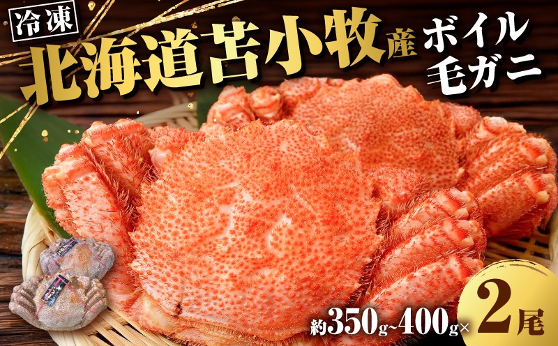 北海道苫小牧産冷凍ボイル毛ガニ（350g〜400g 2尾入）  蟹 カニ かに 海鮮 魚介 毛ガニ 毛がに 味噌汁 鍋
