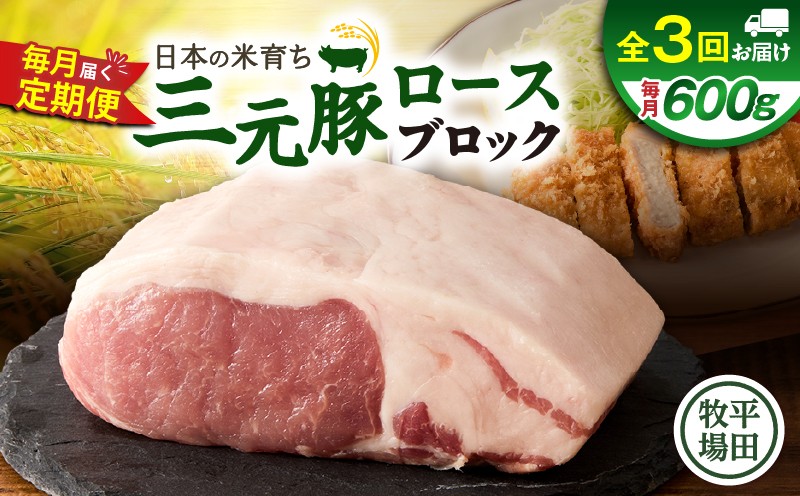 【全3回 毎月定期便】日本の米育ち平田牧場三元豚ロースブロック 600g 定期便 定期 肉 お肉 にく 豚 豚肉 ブタ ぶた 三元豚