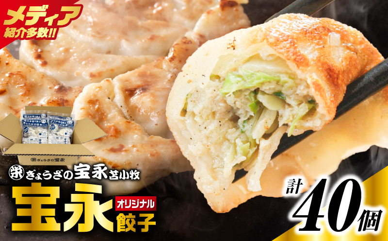 手包み餃子 ぎょうざの宝永 宝永餃子40個セット（宝永餃子10個入×4袋） 惣菜 総菜 ギョウザ 餃子 冷凍餃子 焼き餃子 水餃子 おかず おつまみ つまみ